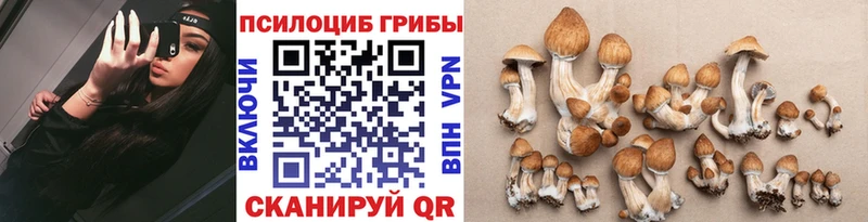 Псилоцибиновые грибы мицелий  Гаврилов-Ям 